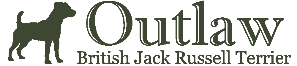 Outlaw Kennel - British Jack Russell Terrier