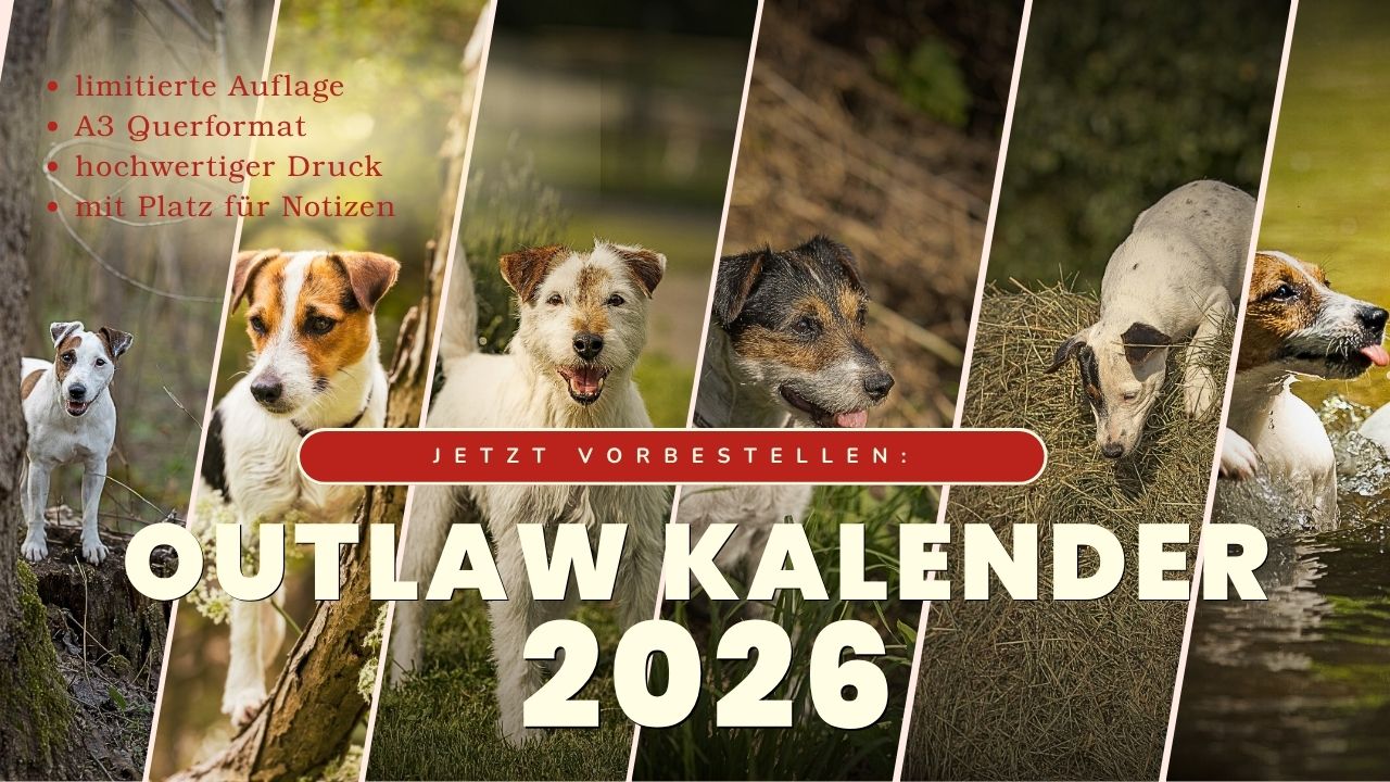 Kalenderankündigung26