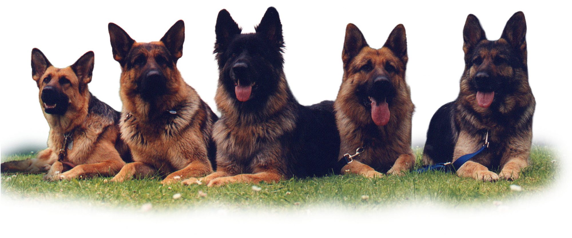 eichenbuehl2gr-Firefly-Upscaler-2x-Skalierung