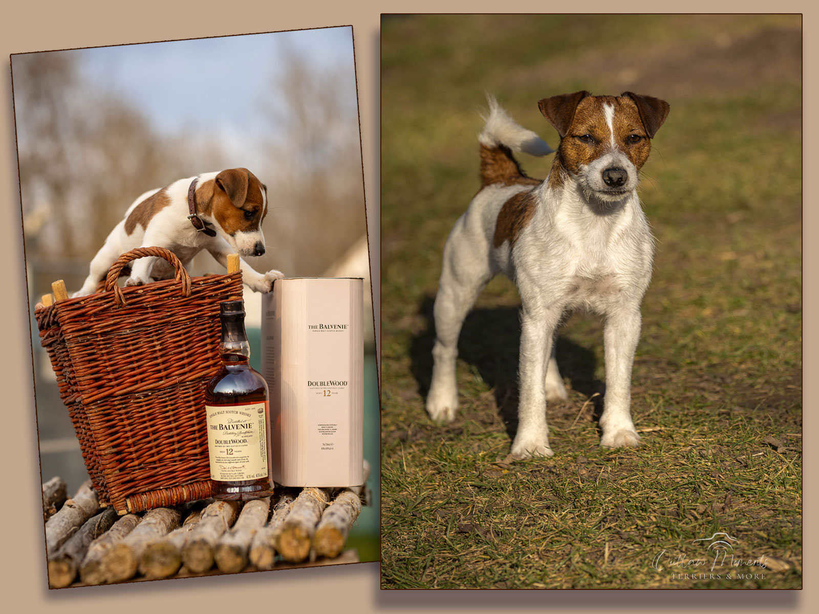 The-Balvenie